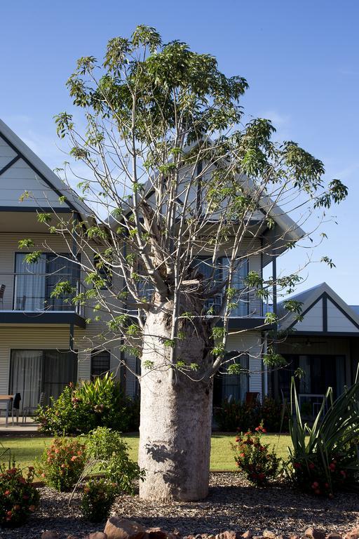 Freshwater East Kimberley Apartments Kununurra Exteriér fotografie